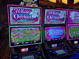 bimabet slot featured game showcase